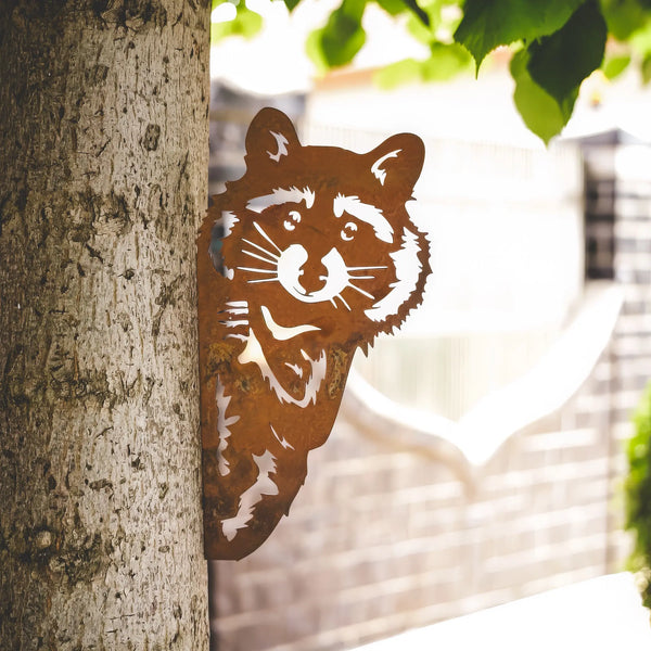 Waschbär Steelmonks