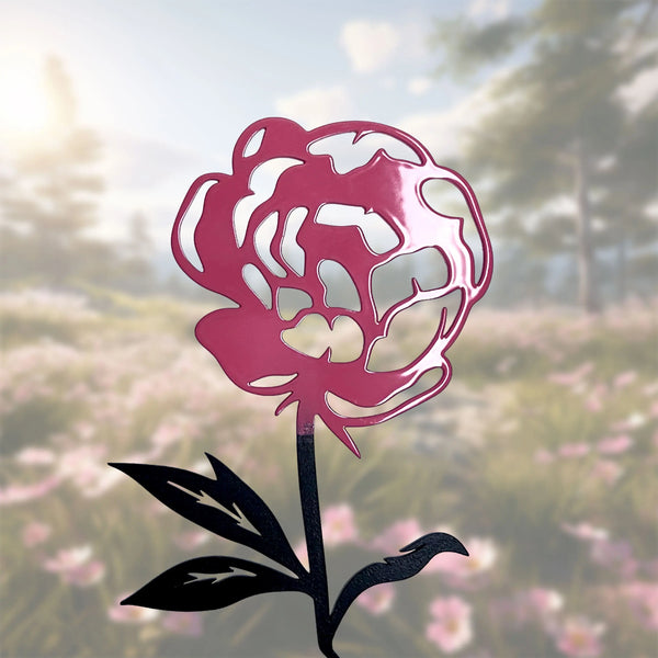 Die Pfingstrose - Blume