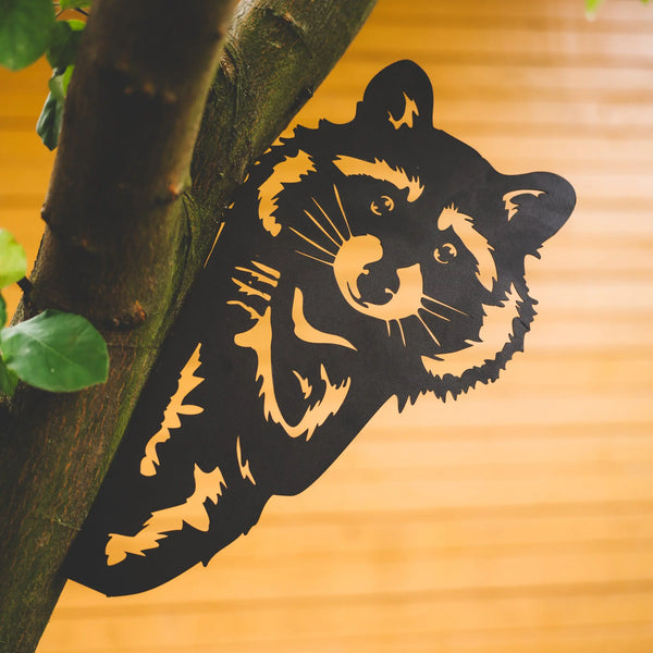 Waschbär Steelmonks