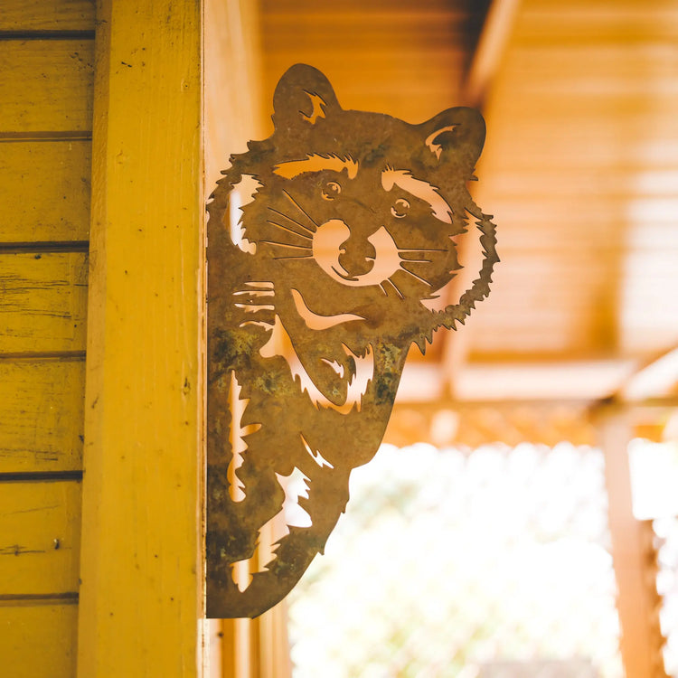 Waschbär Steelmonks