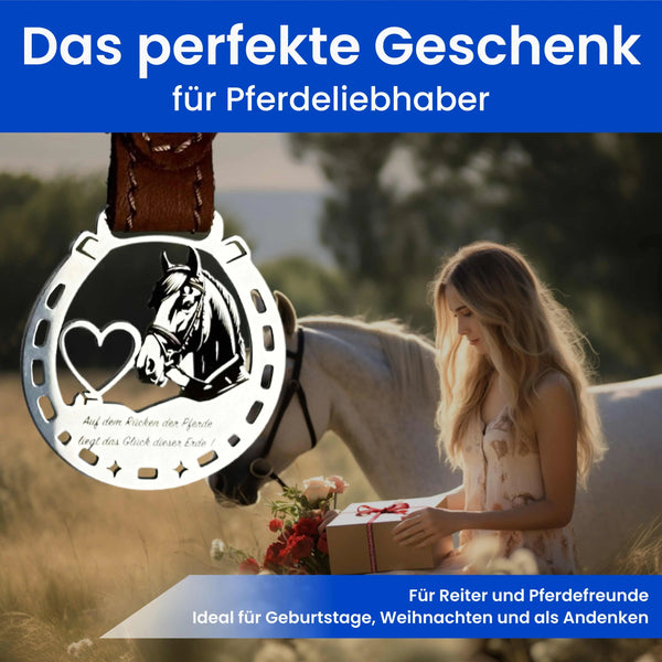 Hufeisen mit Herz Steelmonks