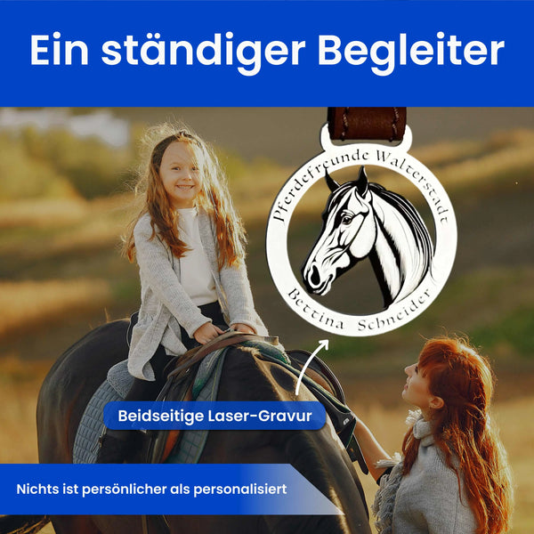 Pferde Profil Steelmonks