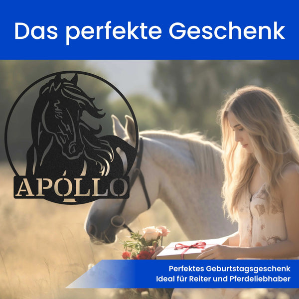 Pferde Portrait - Pferde Schild