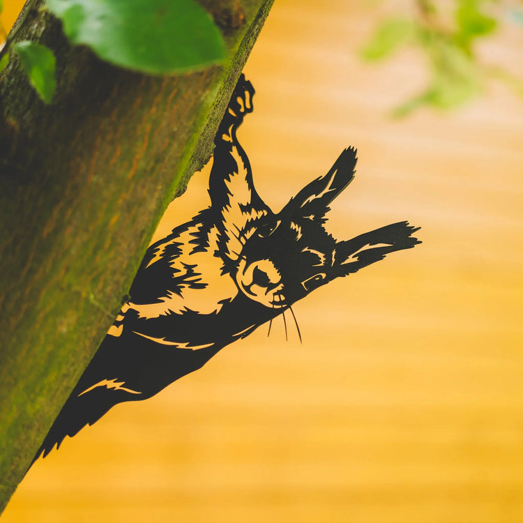 Hängendes Eichhörnchen Steelmonks