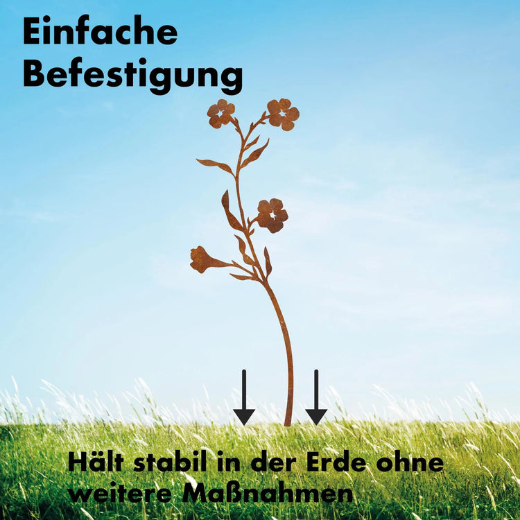 Butterblümchen -  Blume