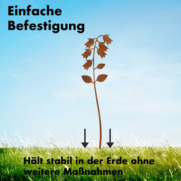Sternenglöckchen - Blume