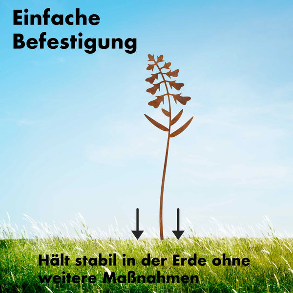 Pfaffenhütchen - Blume