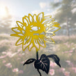 Die Sonnenblume -  Blume