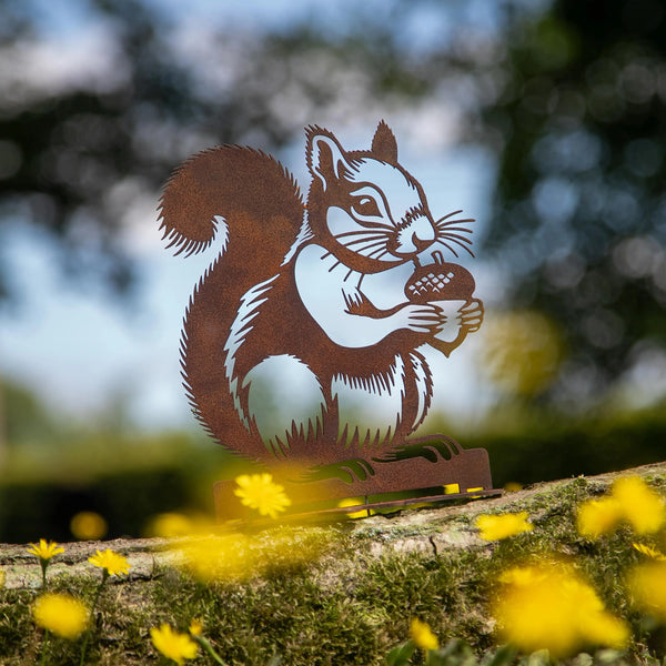 Stehendes Eichhörnchen