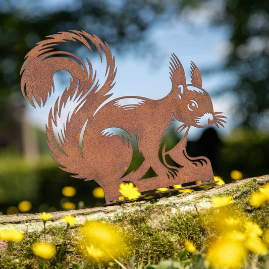 Sitzendes Eichhörnchen Steelmonks