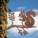 Eichhörnchen auf Ast Steelmonks