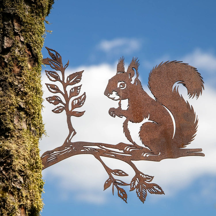 Eichhörnchen auf Ast Steelmonks