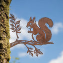 Eichhörnchen auf Ast Steelmonks
