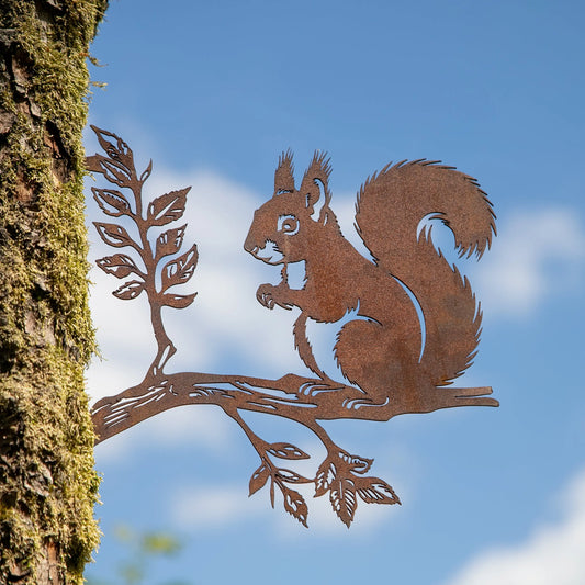 Eichhörnchen auf Ast Steelmonks