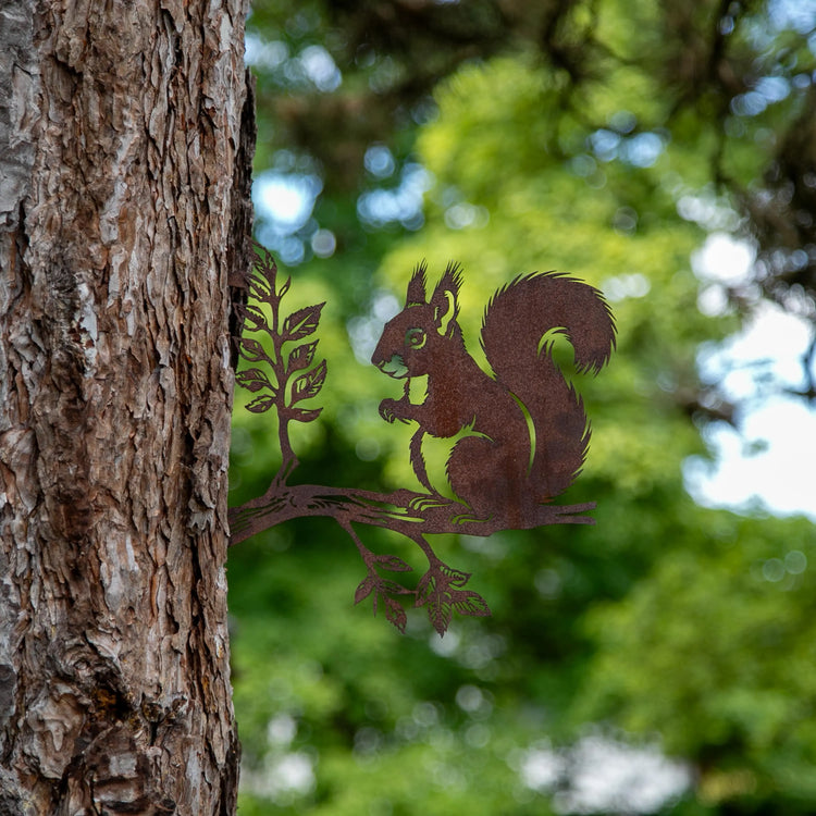 Eichhörnchen auf Ast Steelmonks