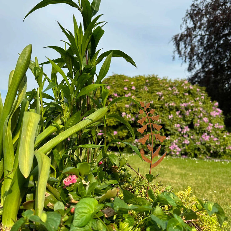 Pfaffenhütchen -  Blume