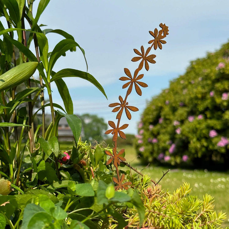 Elfenblüte -  Blume