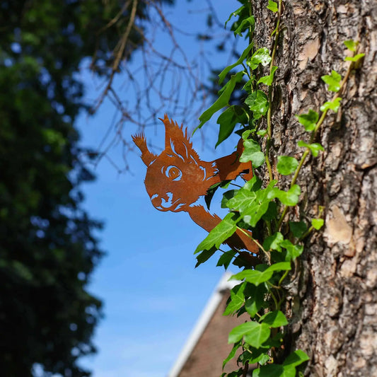 Neugieriges Eichhörnchen -  Baumstecker