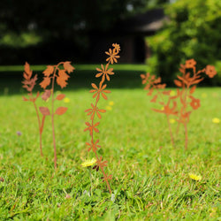 Elfenblüte -  Blume