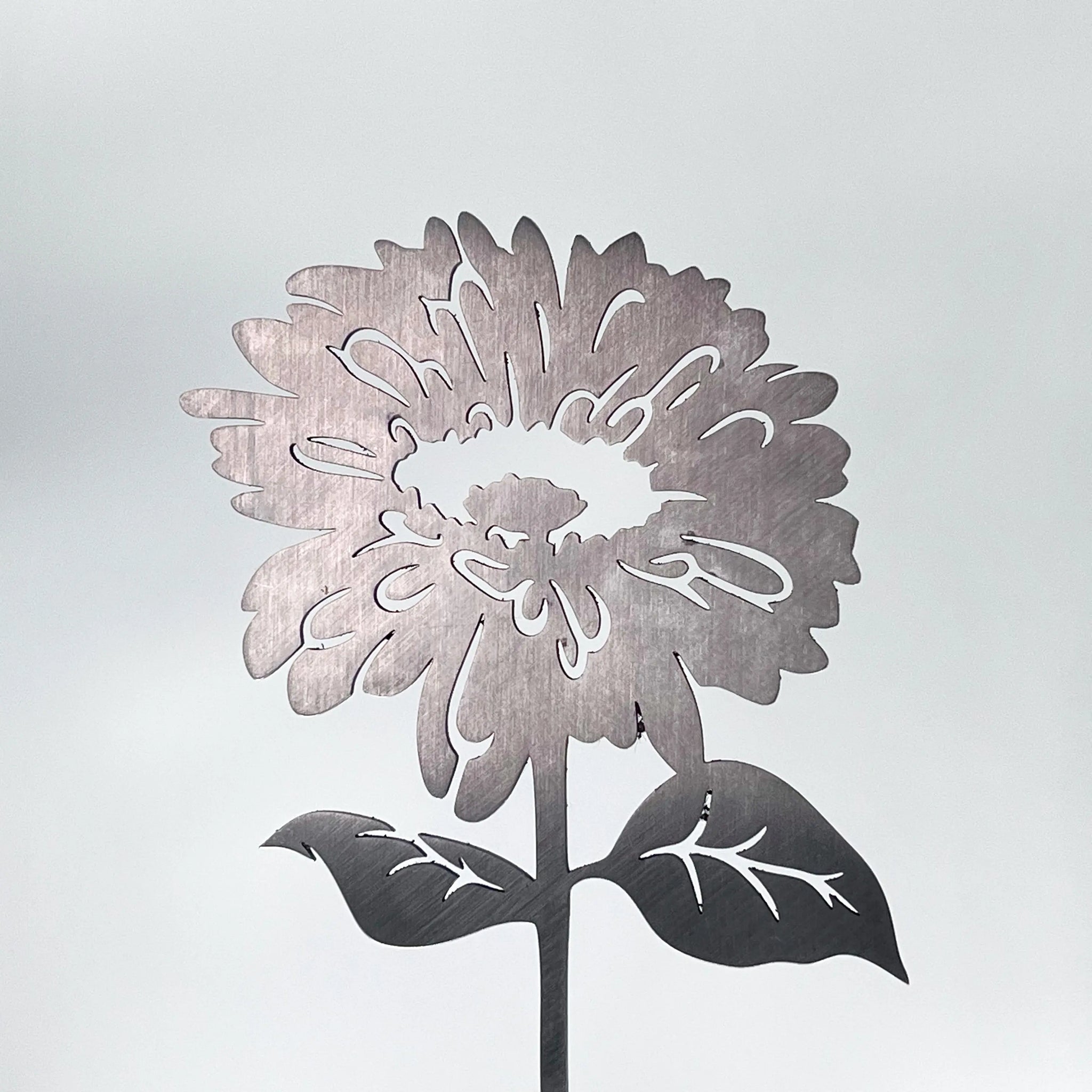 Steelmonks-Metallschild,Die Gerbera. Blume Wanddekoration erhältlich in verschiednen Größen und Farben.