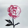 Steelmonks-Metallschild,Die Pfingstrose. Blume Wanddekoration erhältlich in verschiednen Größen und Farben.